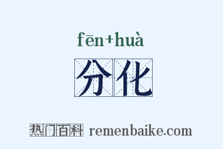 分化是什么意思的图片